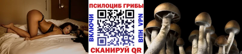 Галлюциногенные грибы мухоморы  наркотики  Кузнецк 